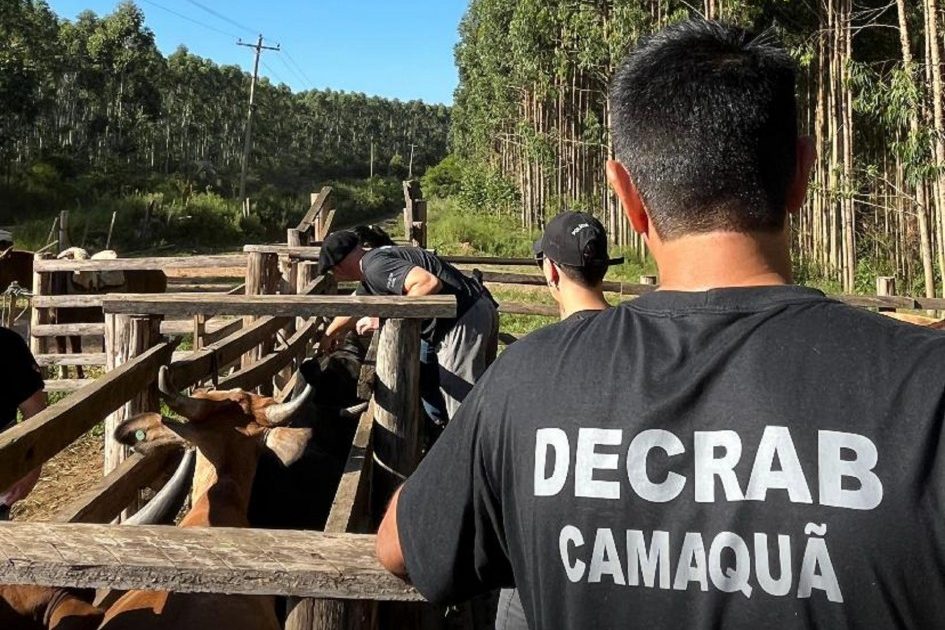 Rio Grande do Sul apresenta melhora histórica nos indicadores de crimes no campo com ações na área da&nbsp;segurança
