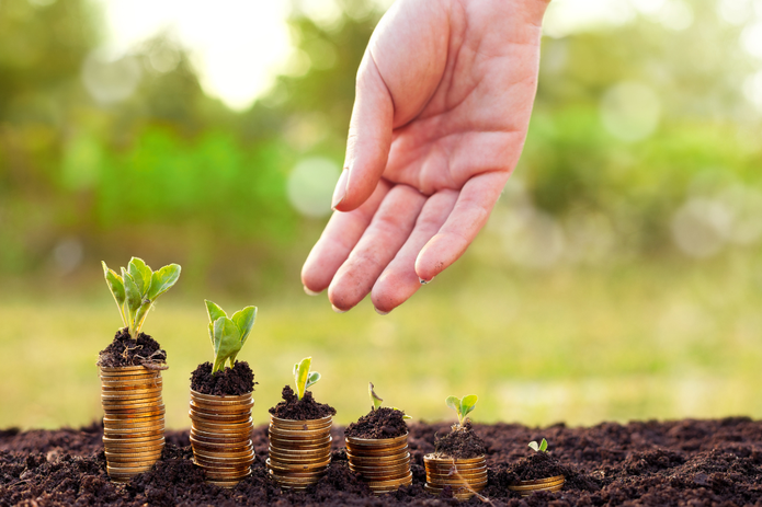 Publicada a Medida Provisória para renegociação de dívidas de produtores rurais impactados pelo&nbsp;clima