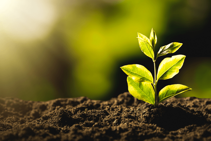 CMN publica resolução que cria linha de crédito para liquidar ou amortizar dívidas&nbsp;rurais