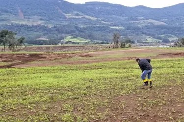 Seguro Rural fecha 2025 com 3,2 milhões de hectares segurados, pior desempenho em 10&nbsp;anos